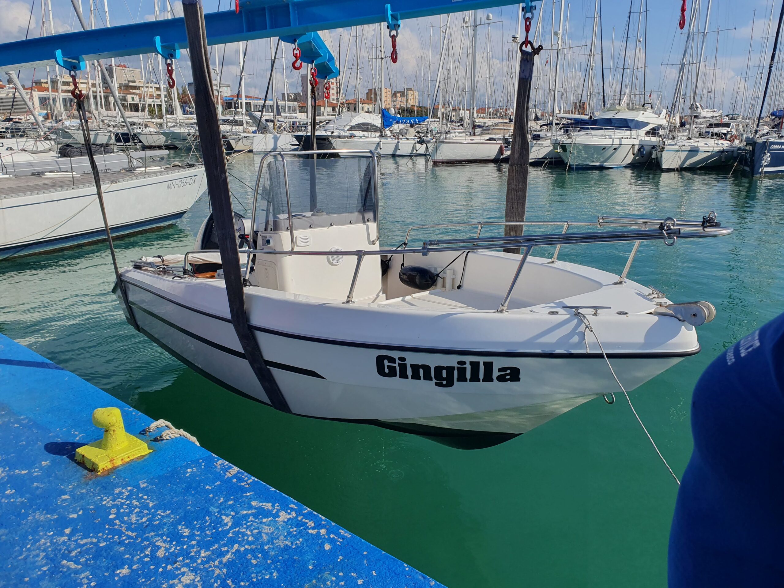 gingilla_1